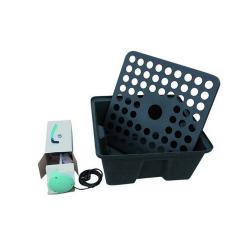 Rainforest 72 12V - Imagen 1 2