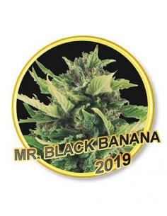 Mr. Hide Black Banana