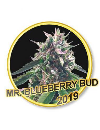 Mr. Hide Mr.Blueberry Bud Fem - Imagen 1