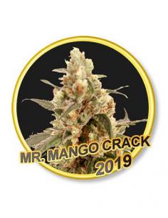 Mr. Hide Mr.Mango Crack