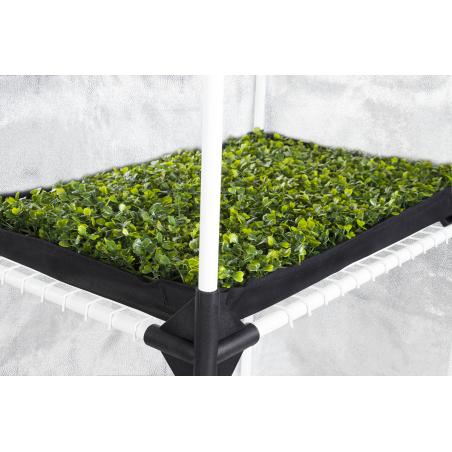 Armario Garden Highpro Probox Propagator - Imagen 24