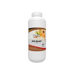 Hy-Pro Epic Blast (250ml a 5L) - Imagen 1