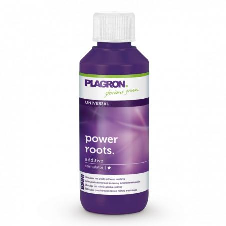 Plagron Power Roots (100ml a 500ml) - Imagen 1