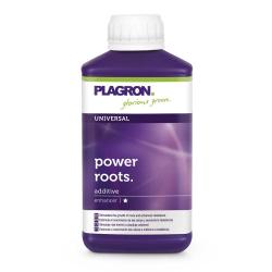 Plagron Power Roots (100ml a 500ml) - Imagen 1 2