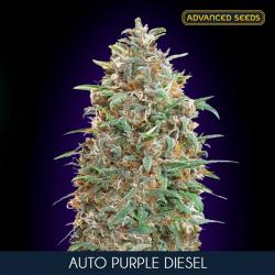 Advanced Seeds Auto Purple...