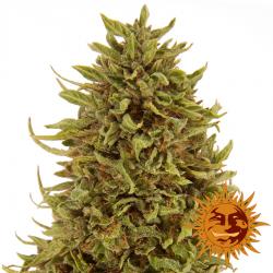 Barney´S Farm Pineapple...