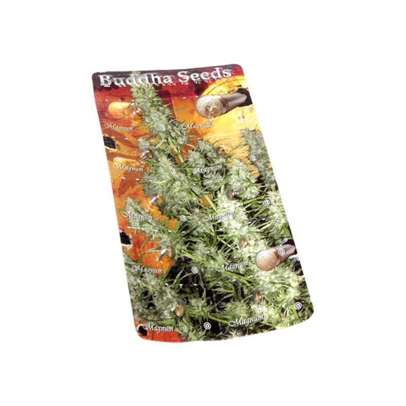 Buddha Seeds Magnum Blister 10Und Regular - Imagen 1