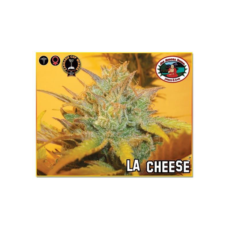 Big Buddha Seeds L.A. Cheese Fem - Imagen 1