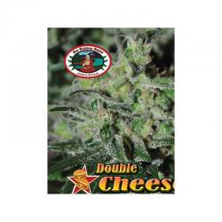 Big Buddha Seeds Double Cheese Fem - Imagen 1