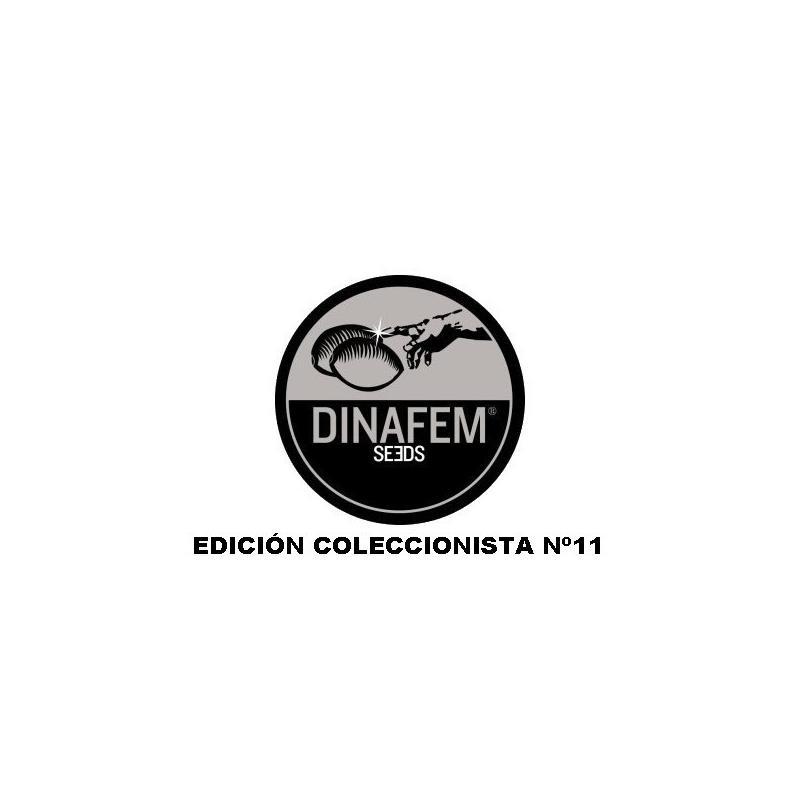 Dinafem Coleccionista 9 - Imagen 1