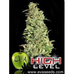 Eva Seeds High Level Fem