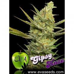 Eva Seeds Gipsy Haze Fem