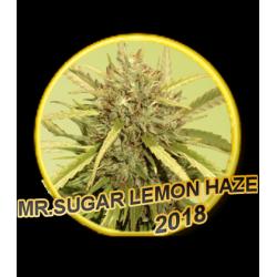 Mr. Hide Mr. Sugar Lemon...