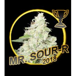 Mr. Hide Mr. Sour-R  Fem