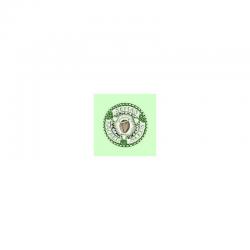 Soma Seeds White Light 10Und Reg. - Imagen 1