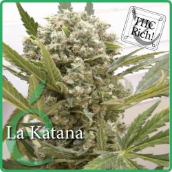 Elite Seeds La Katana Fem.