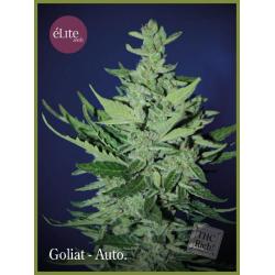 Elite Seeds Goliat Auto - Imagen 1