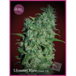 Elite Seeds Llimonet Haze 3Und Fem. - Imagen 1