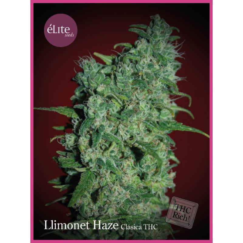 Elite Seeds Llimonet Haze 3Und Fem. - Imagen 1