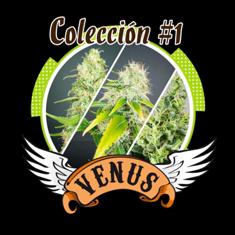 Venus Genetics Coleccion 1 - Imagen 1