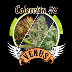 Venus Genetics Coleccion 2