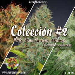 Venus Genetics Coleccion 2 2