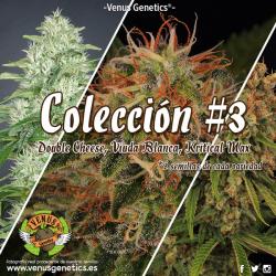 Venus Genetics Coleccion 3 2