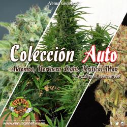 Venus Genetics Coleccion Auto - Imagen 1 2