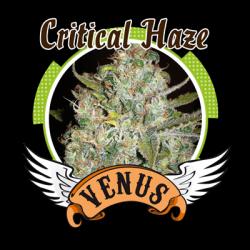 Venus Genetics Critical...