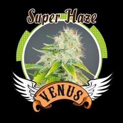 Venus Genetics Super Haze Fem.