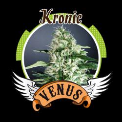 Venus Genetics Kronic Fem.