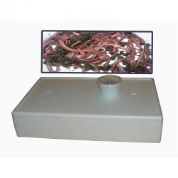 Lombriz Roja de California - Imagen 1 2