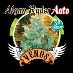 Venus Genetics Afgan Ryder...