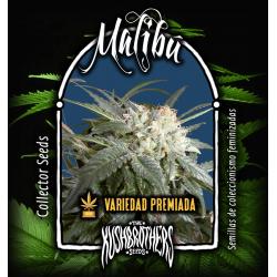 The Kush Brothers Malibu Fem