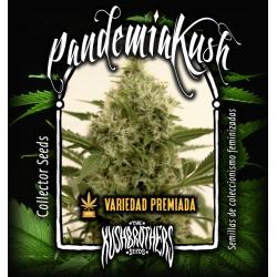 The Kush Brothers Pandemia...