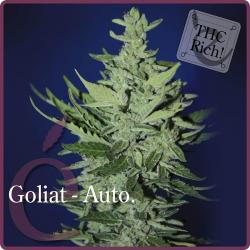 Elite Seeds Goliat Auto 7Und - Imagen 1