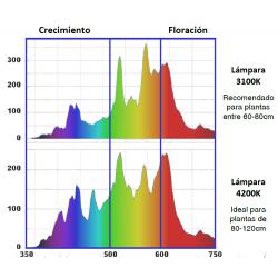 AUVL 315W CMH - Imagen 1 2