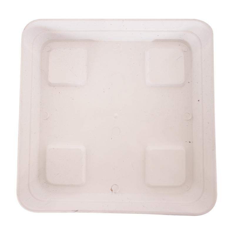 Plato Cuadrado Blanco - Imagen 1