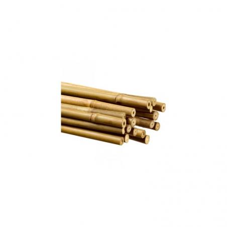 Tutor Bambú - Imagen 2