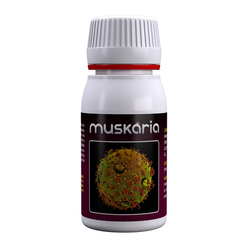 Agrobacterias Muskaria 60ml - Imagen 1