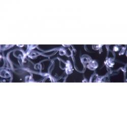 Entonem 50 Steinernema Feltiae (Mosca Suelo) - Imagen 1