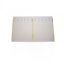 Trampa Adhesiva Amarilla 40x25cm Folio (10Und) - Imagen 1