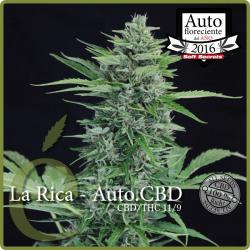 Elite Seeds La Rica Auto CBD 2