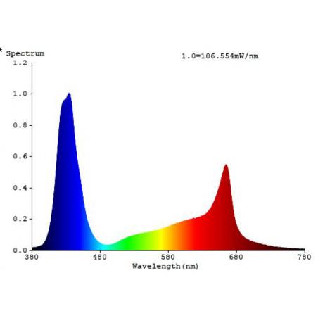 Led Newlite Cluster - Imagen 3